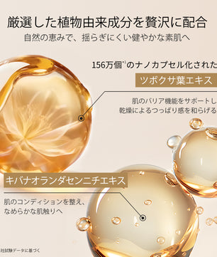 AG INLOOP ルミナスヴェール ミスト