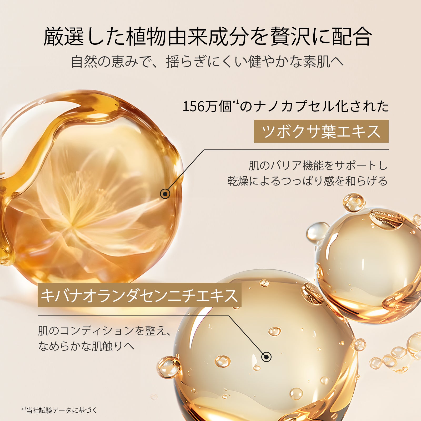 AG INLOOP ルミナスヴェール ミスト
